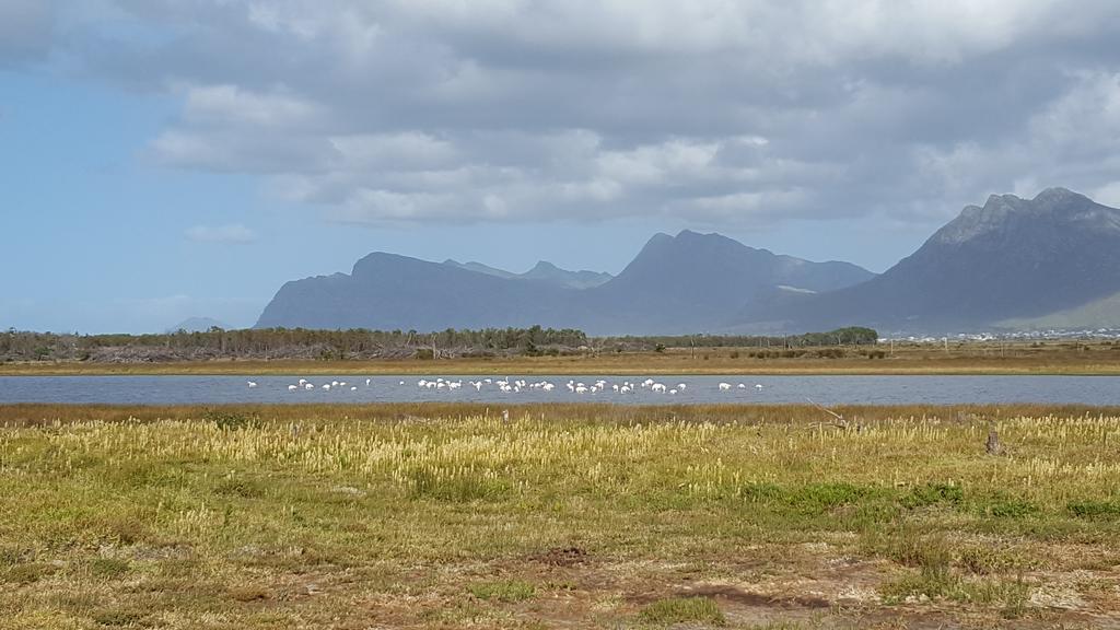 La Mer Seafront Selfcatering Accommodation Kleinmond Exterior photo